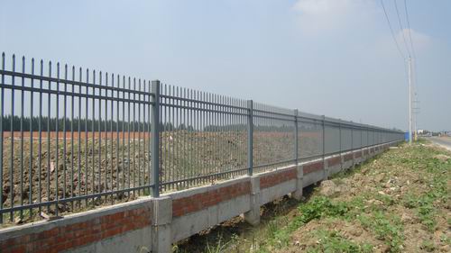 1593326582558251.jpg 2.jpg